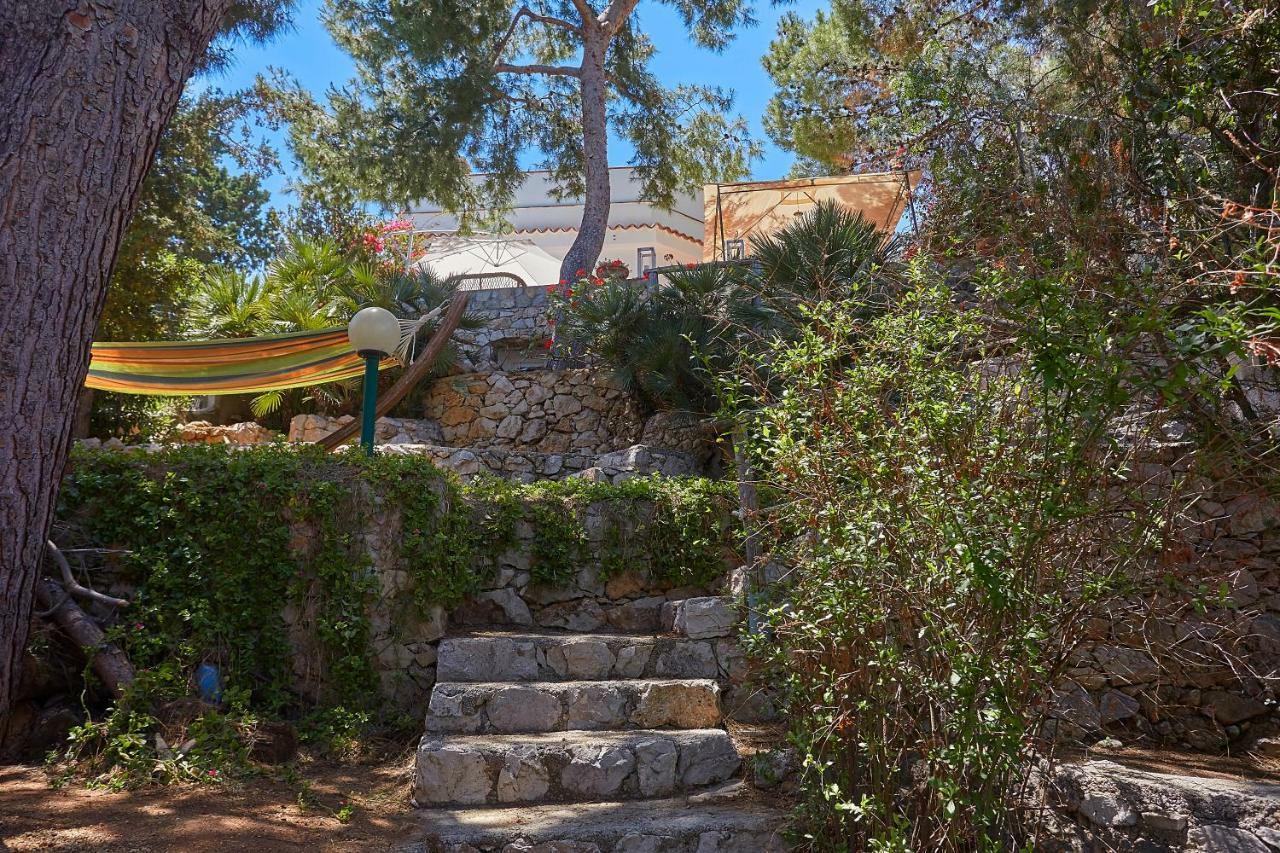 Villa Gabry バゲリーア エクステリア 写真